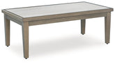 Tampa Furniture Outlet Lutz - Ashley Furniture - Rainier Ranch Outdoor - Sofa with Cushion / Brown/Beige - P701-838